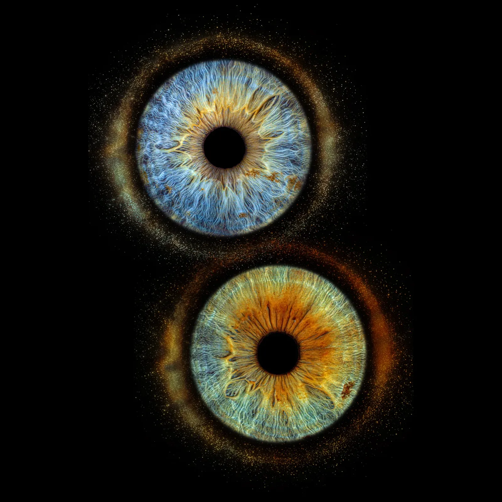 Eclipse variant 3