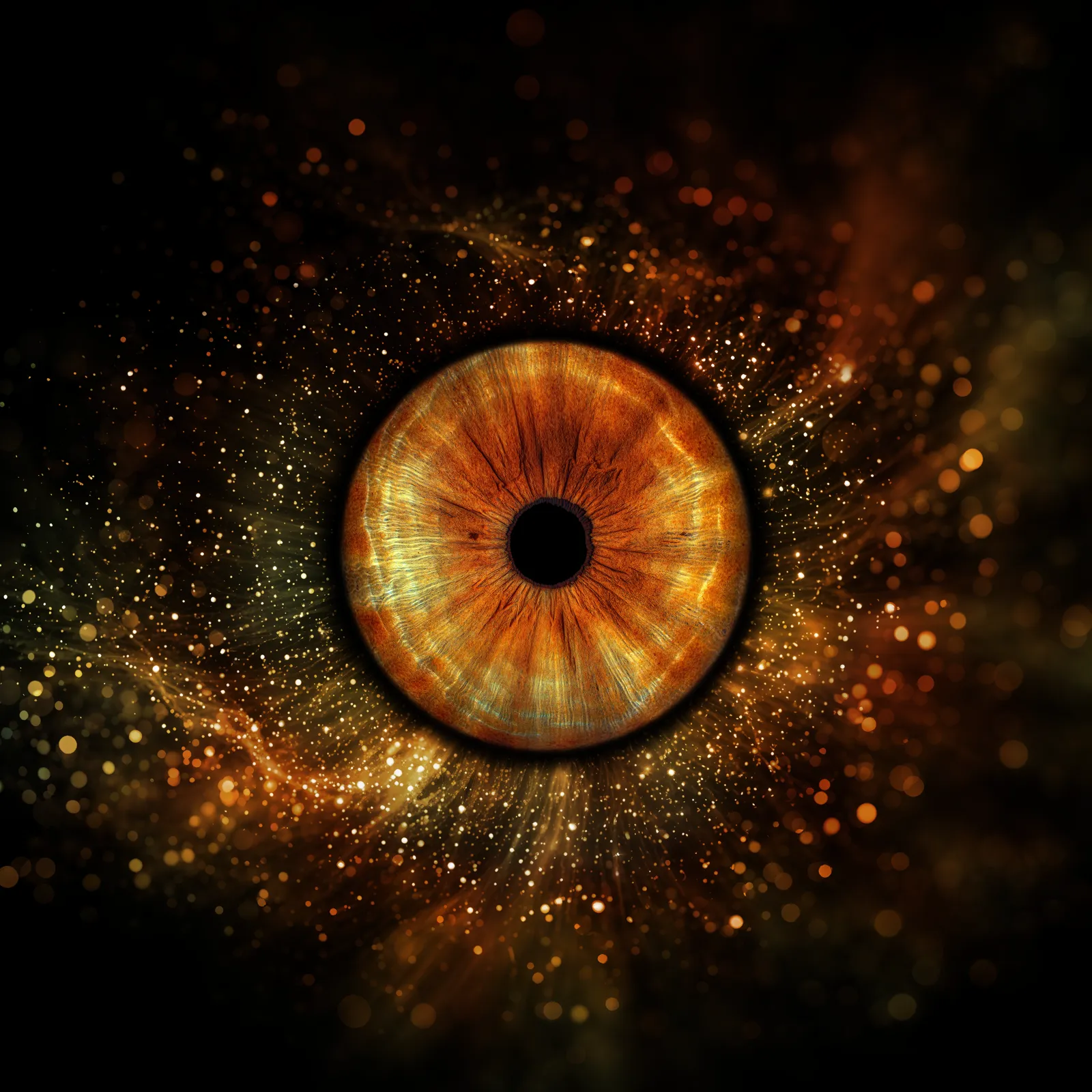 Golden Galaxy variant 2