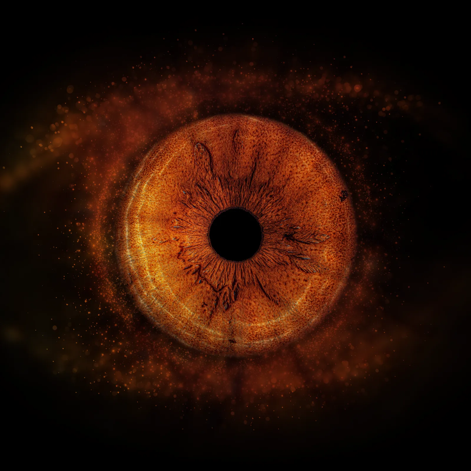 Nebula variant 2